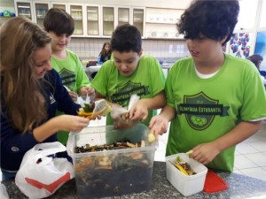 composteira-6ºAno2